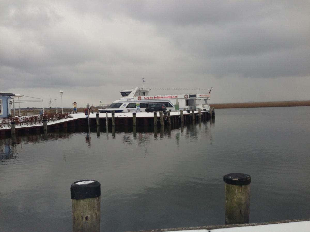 Fewo Am Alten Hafen - Zingst Ostseebad Ngoại thất bức ảnh